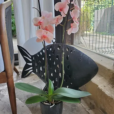 Séjour chez l'habitant La Gare Aurensan (Gers)