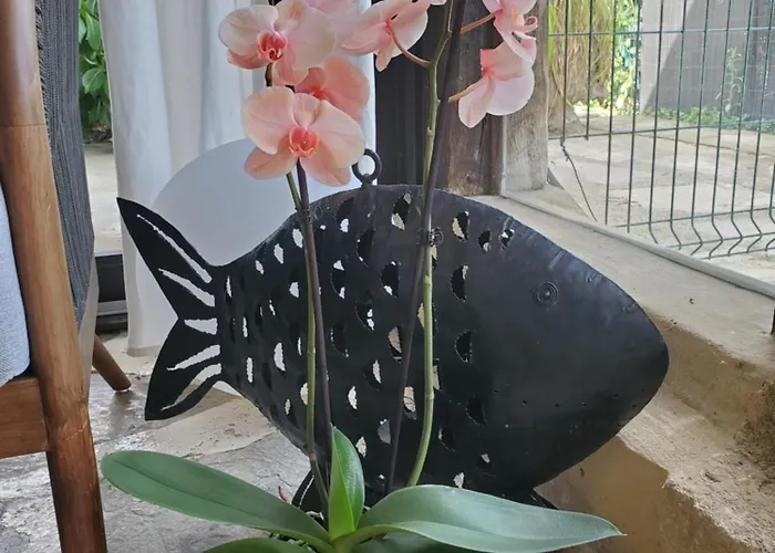 Проживание в семье La Gare Aurensan (Gers)